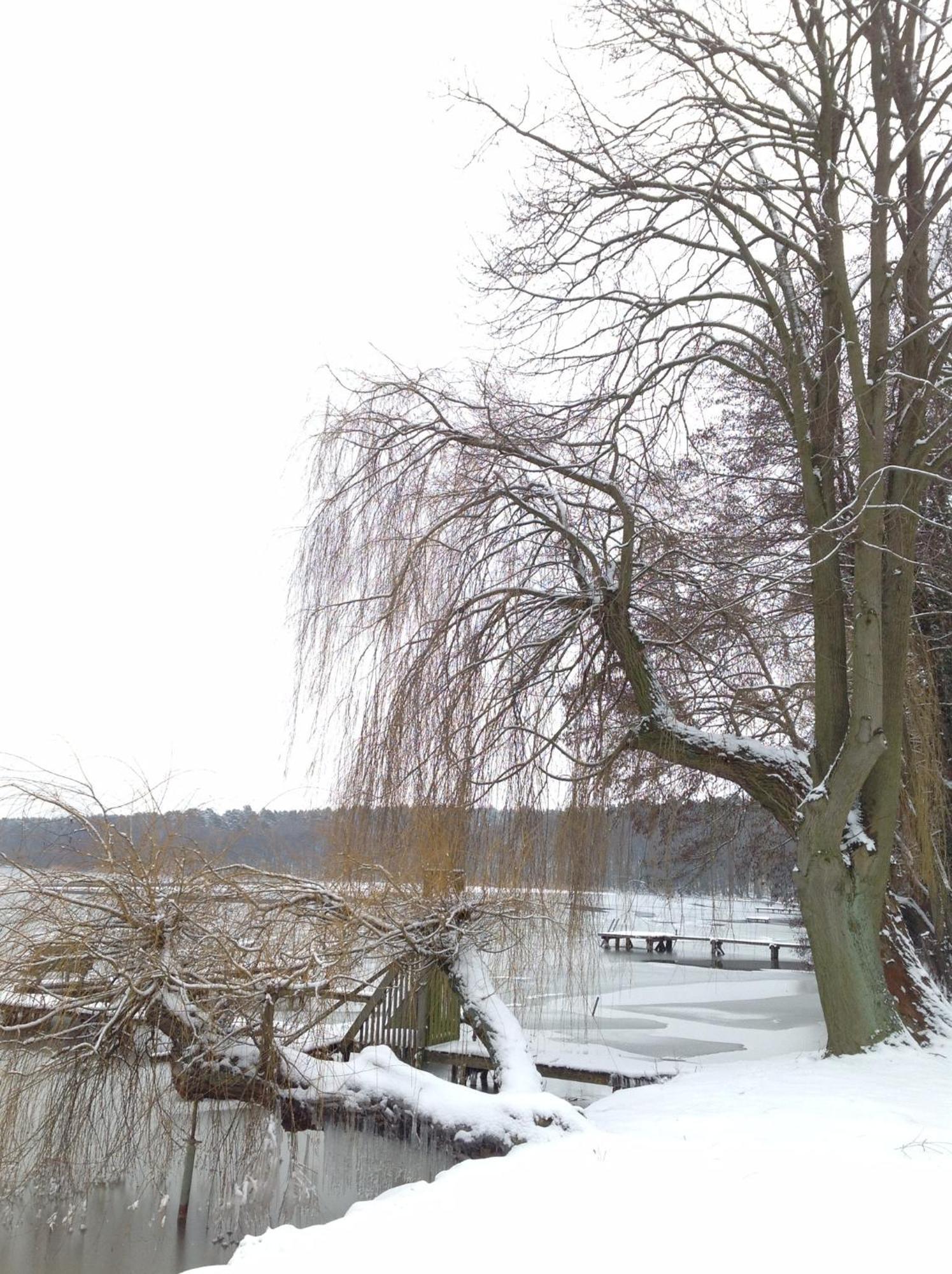 Wolfshotel Am Arendsee Pensión